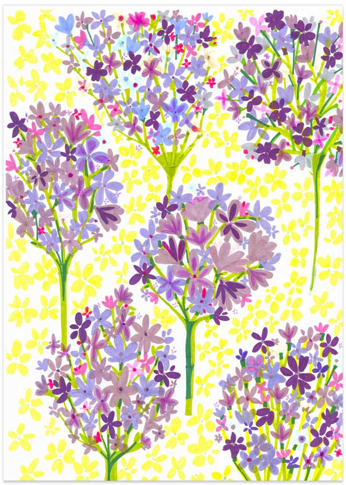 Lilly of the Nile - Art Print by Sharon Nullmeyer