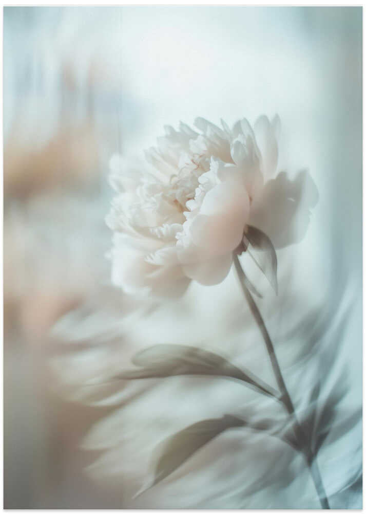 Bloom sway - Art Print by Treechild