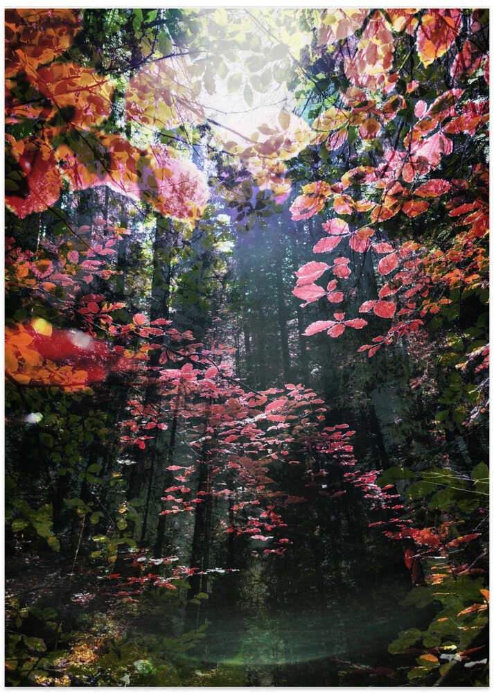 Enchanted - Art Print by Angelo Cerantola