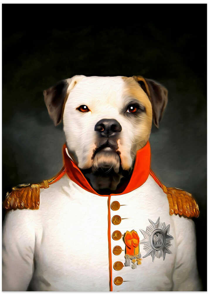 Mozart - Art Print by Tein Lucasson