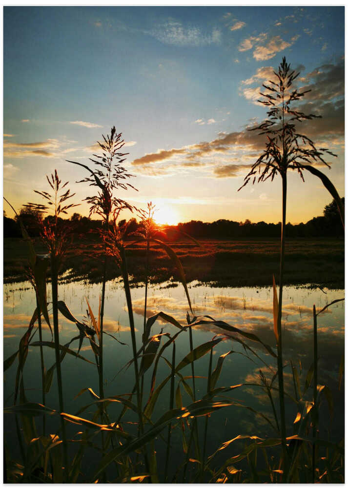 Praise Be - Art Print by Angelo Cerantola