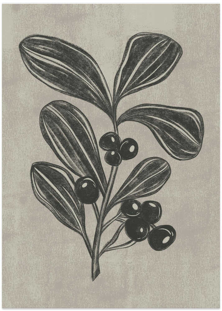 Winter Berry - Art Print by Nikita Jariwala