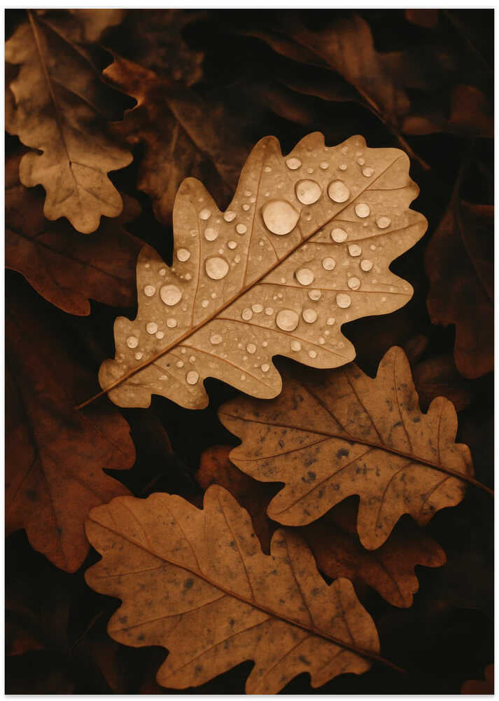 Autumnleafs - Art Print by Treechild