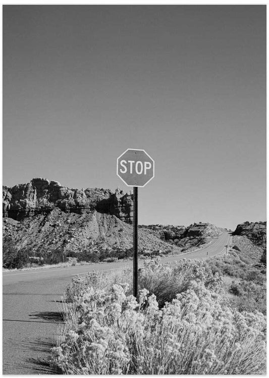 Monochrome New Mexico Road Trip on Film - Art Print by Bethany Young