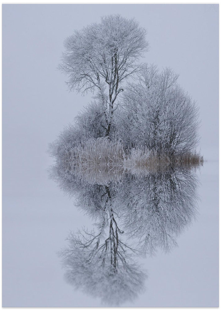 winter stillness - Art Print by Norbert Maier