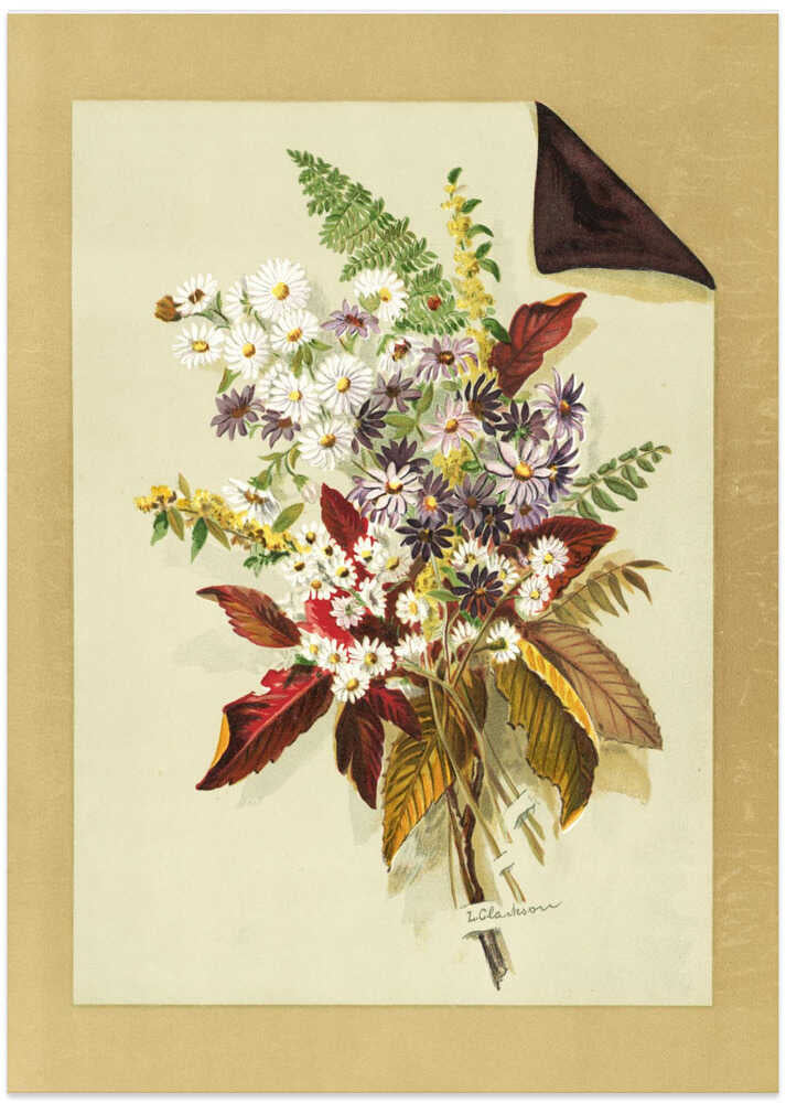 Daisies and Autumn Leaves & Ferns - Art Print by Louise Clarkson Whitelock