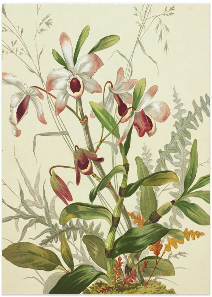 Flowers - Art Print by Louis Prang