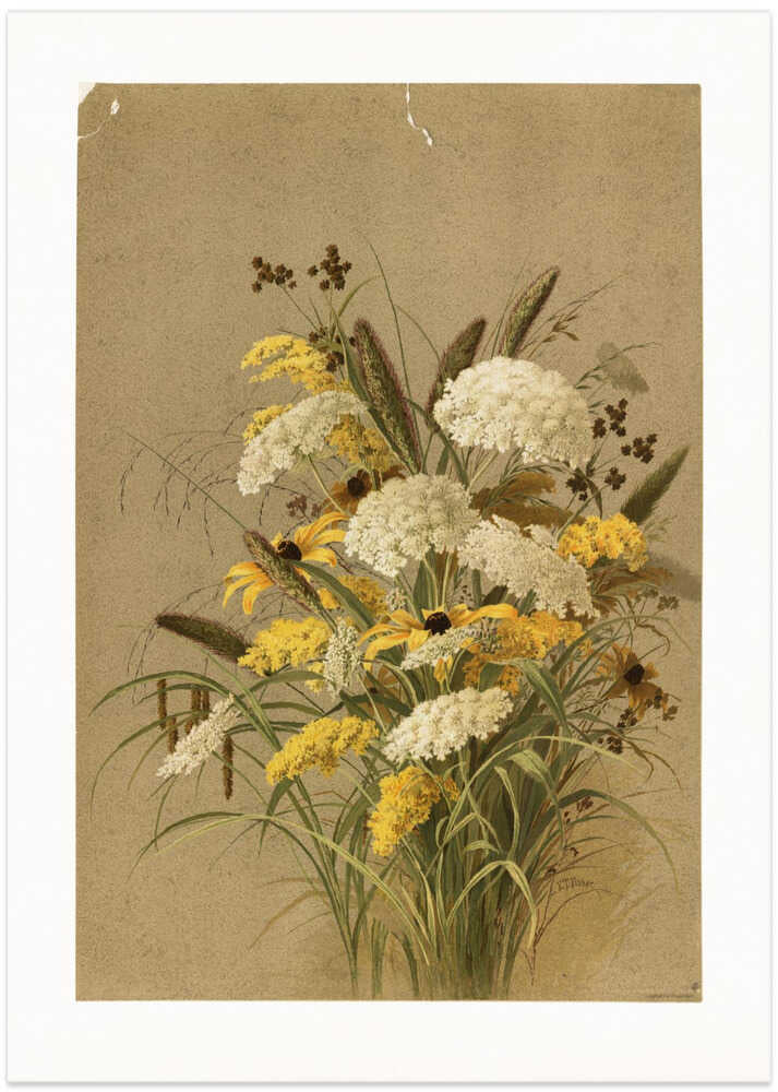Hemlock, Ox Eye Grasses and Golden Rod - Art Print by Ellen Thayer Fisher