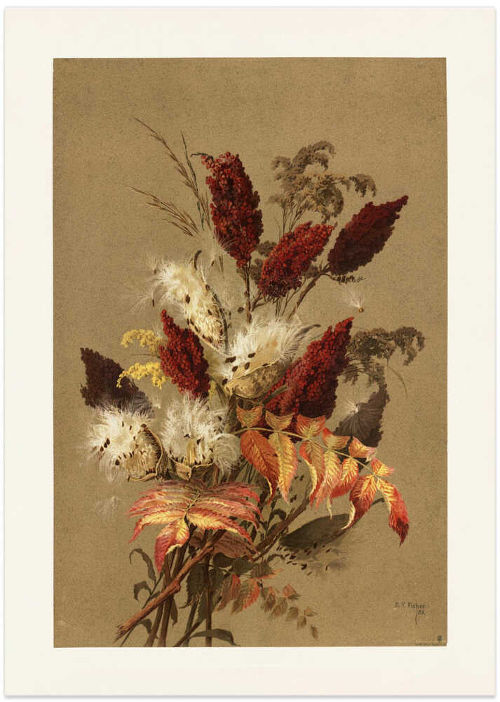 Sumac and Milkweed By Ellen Thayer Fisher - Art Print by Pictufy