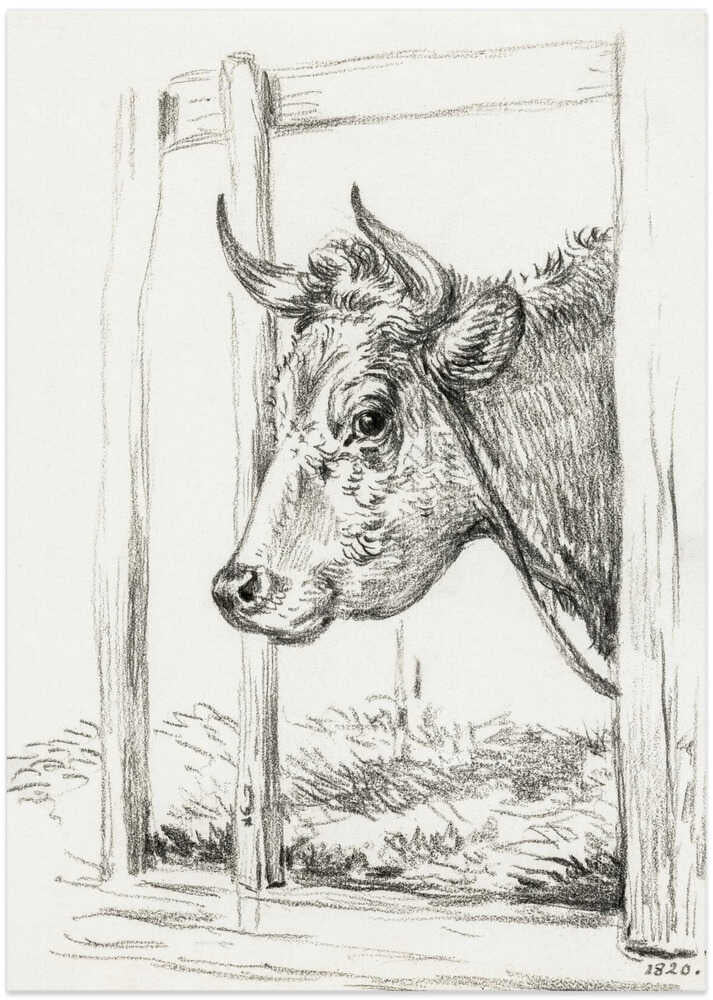 Head of a Cow (1820) - Art Print by Jean Bernard