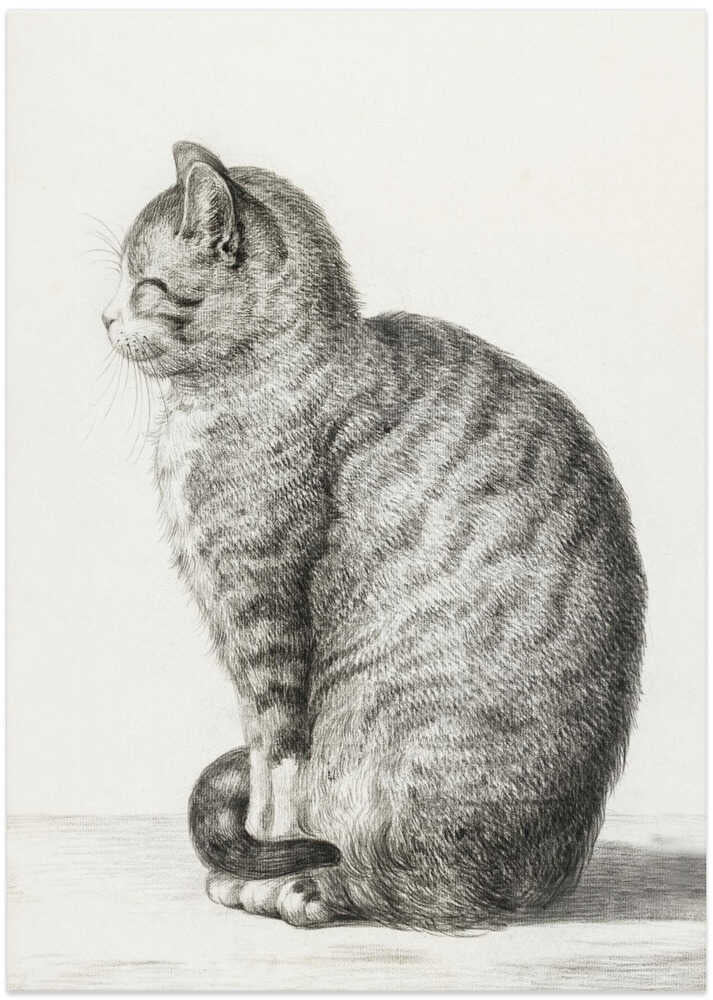 Sitting Cat (1815) - Art Print by Jean Bernard