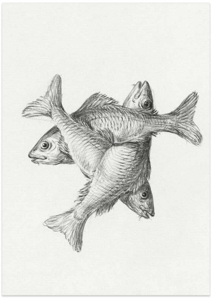Three Fishes (1775–1833) - Art Print by Jean Bernard