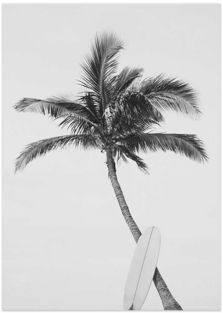 Palm Surfboard - Art Print by Kathrin Pienaar