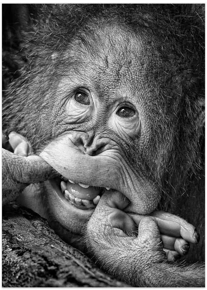 Big Smile Please - Art Print by Angela Muliani Hartojo