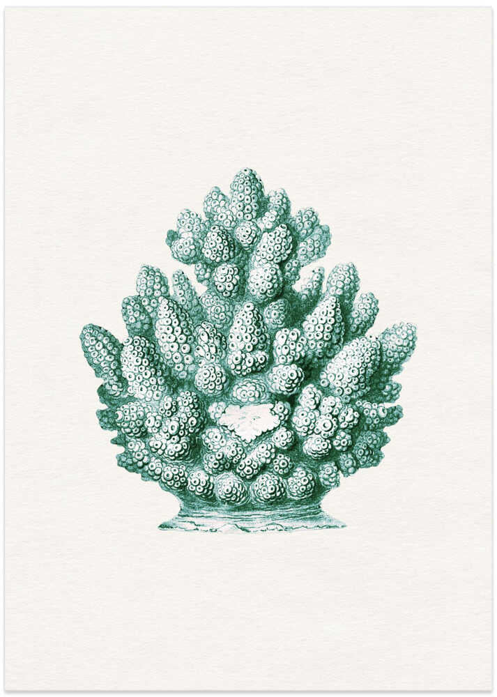 Teal Ocean Coral - Art Print by Wild Violets