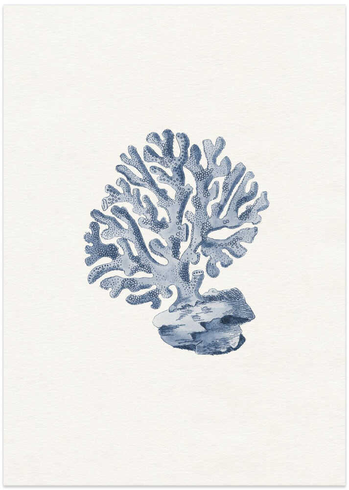Marine Coral Study - Art Print by Wild Violets