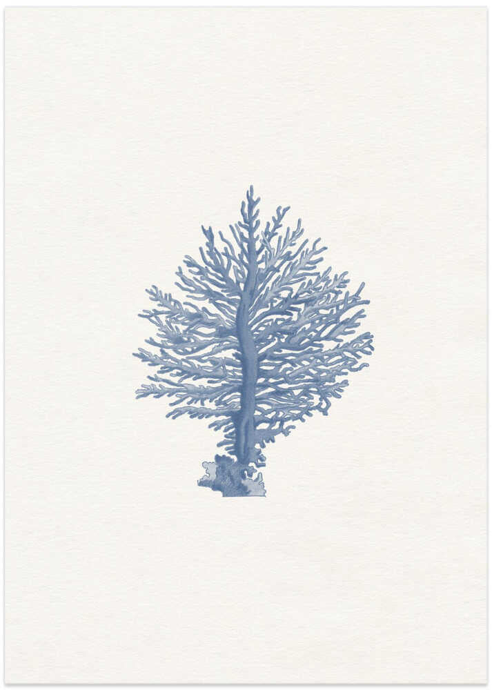 Delicate Blue Coral - Art Print by Wild Violets