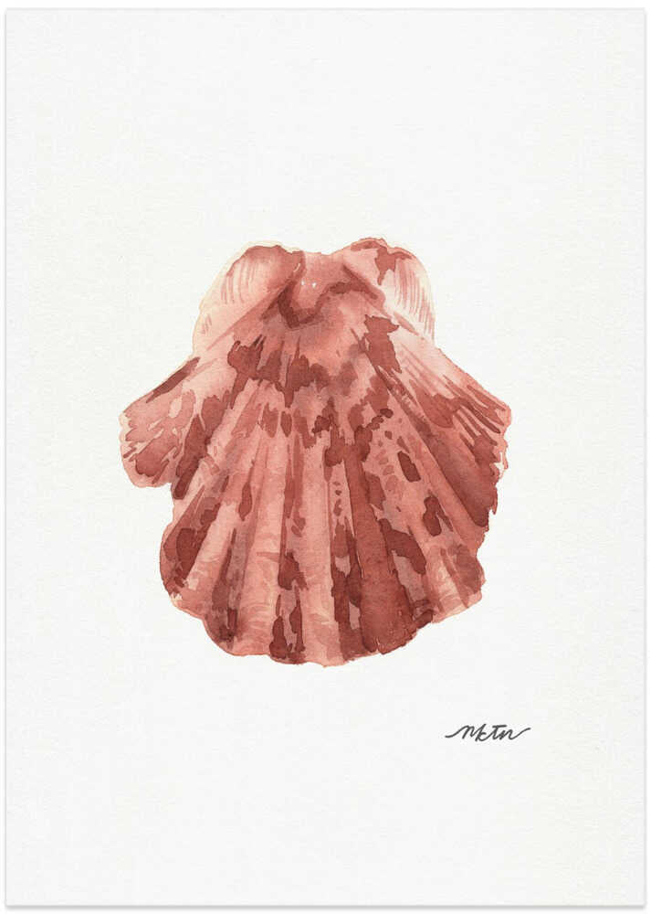 Pink Scallop Seashell - Art Print by NKTN
