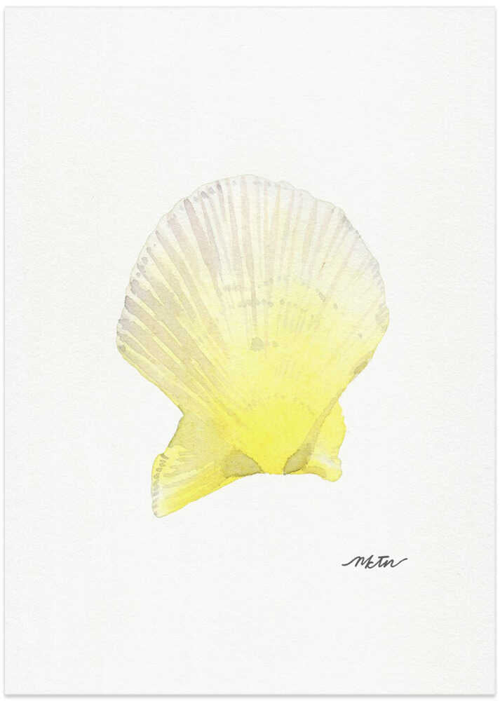 Sunny Scallop Shell - Art Print by NKTN