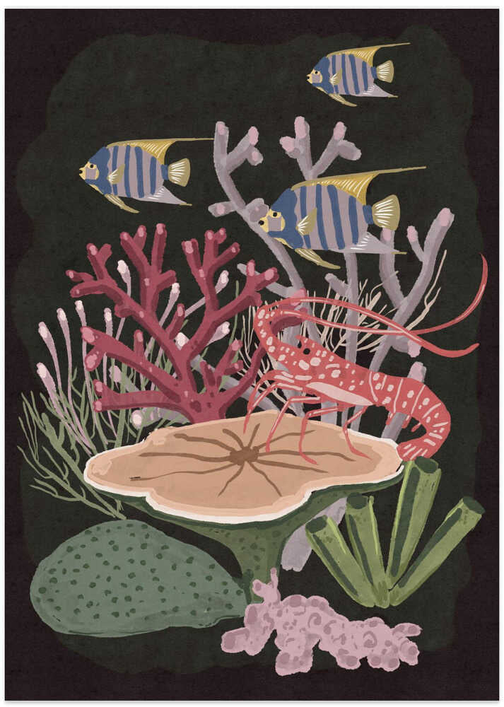 Spiny Lobster Coral Reef - Art Print by Nicholas