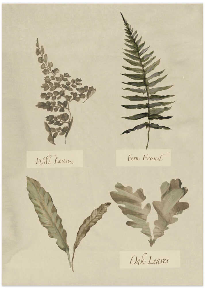 Botanical Leaf Study - Art Print by cartissi