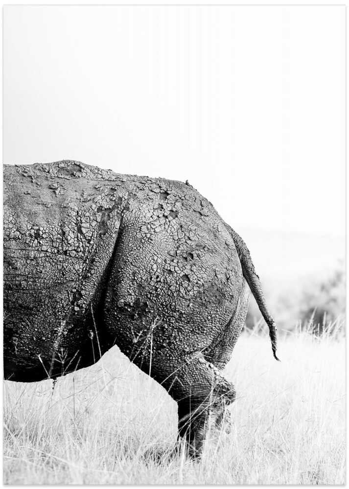 Textured Rhino Back - Art Print by Benjamin Saunders