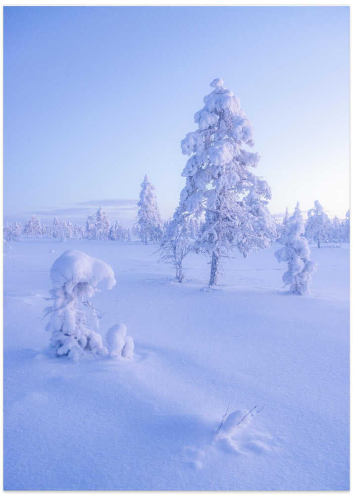 Ethereal Winter Morning - Art Print by Julien Pröpper