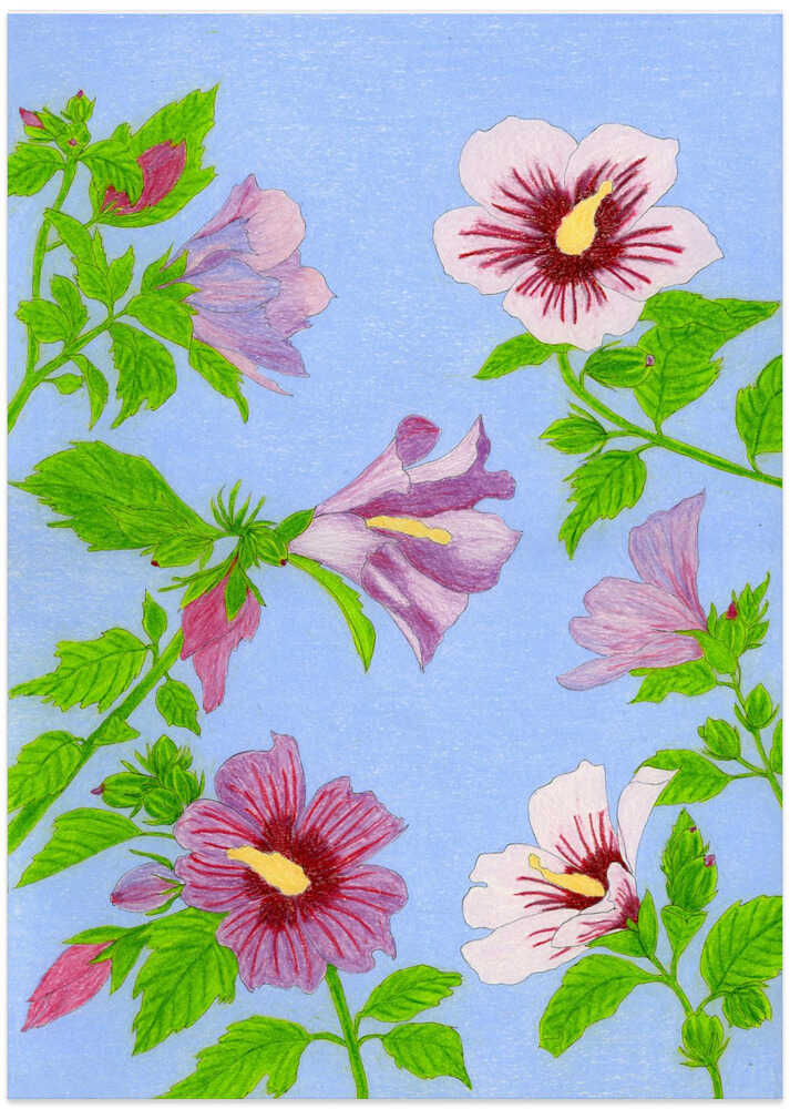 Blooming Hibiscus Flowers - Art Print by Viktoriia Saunina
