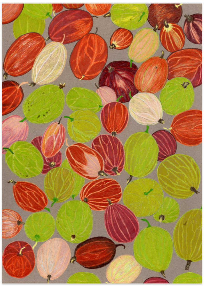 Colorful Gooseberries - Art Print by Viktoriia Saunina