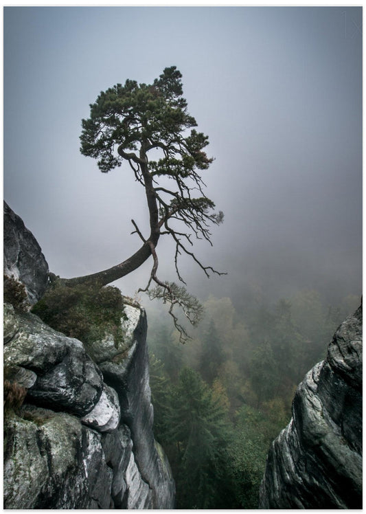 Against the Odds - Art Print by Andreas Wonisch