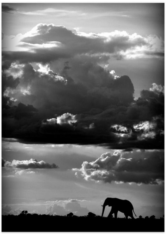 He walks under an African Sky - Art Print by WildPhotoArt