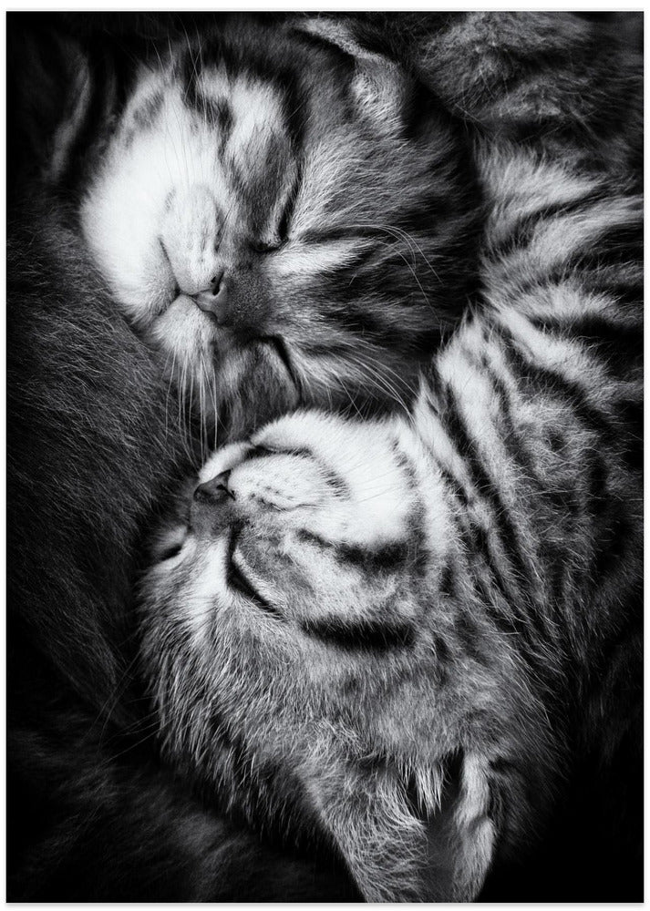 Yin and Yang - Art Print by Andrea Jancova