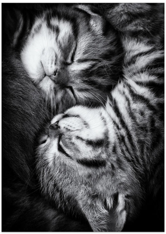 Yin and Yang - Art Print by Andrea Jancova