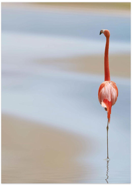 I - Art Print by Anna Cseresnjes