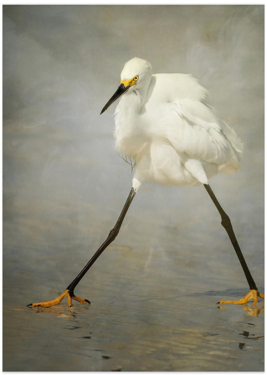 The Rock Star - Art Print by Alfred Forns