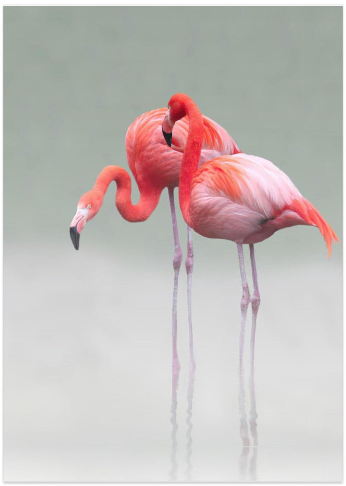 Just We Two - Art Print by Anna Cseresnjes