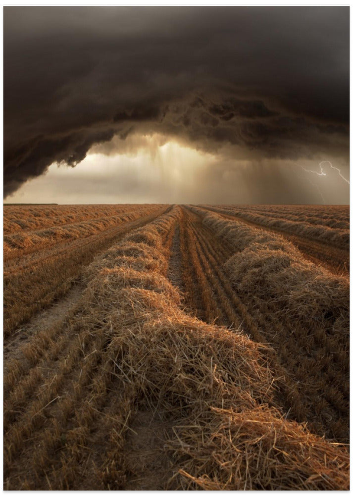 Untitled - Art Print by Nicolas Schumacher