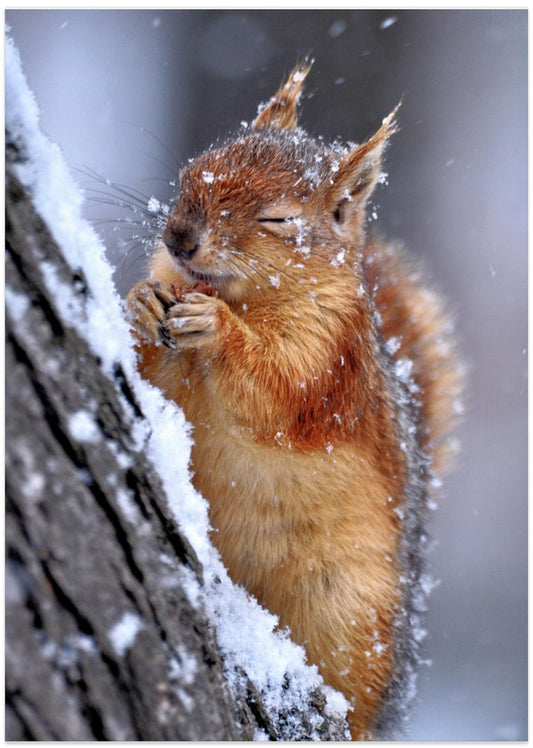 Winter - Art Print by Ervin Kobakçi