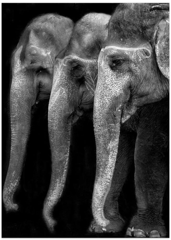 Nature's great masterpiece, an elephant - Art Print by Yvette Depaepe