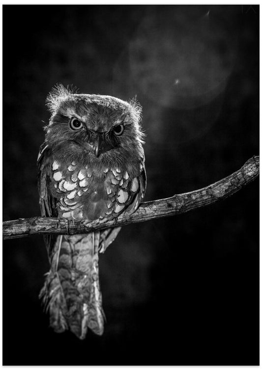 Alone in the night - Art Print by wilianto