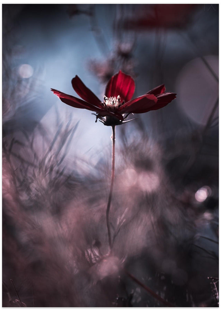 Tenue de soirée - Art Print by Fabien BRAVIN