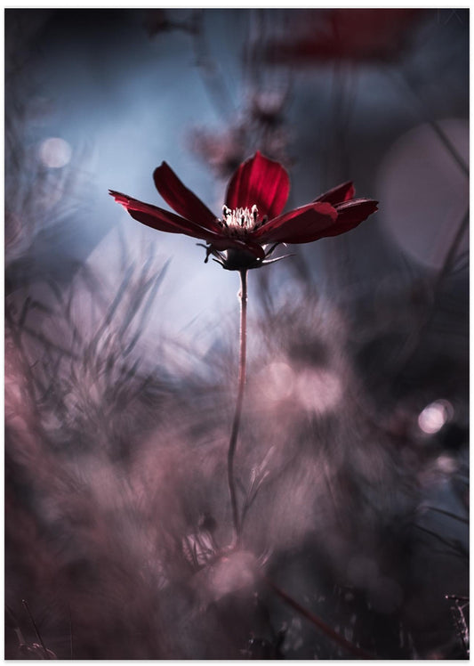 Tenue de soirée - Art Print by Fabien BRAVIN