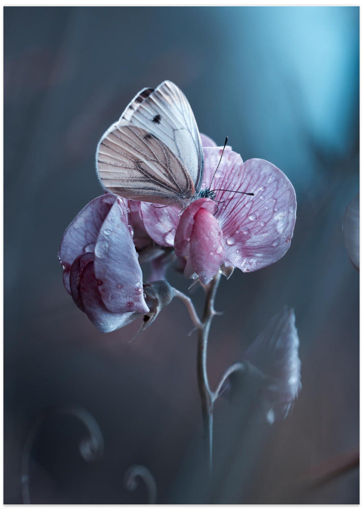 Tainted Love - Art Print by Fabien BRAVIN