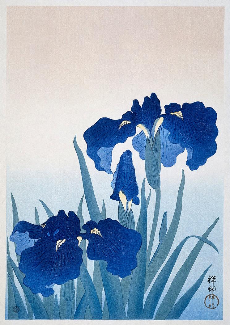 IRIS FLOWERS PRINT: Vintage Japanese Flower Art Illustration by Ohara Koson - Pimlico Prints