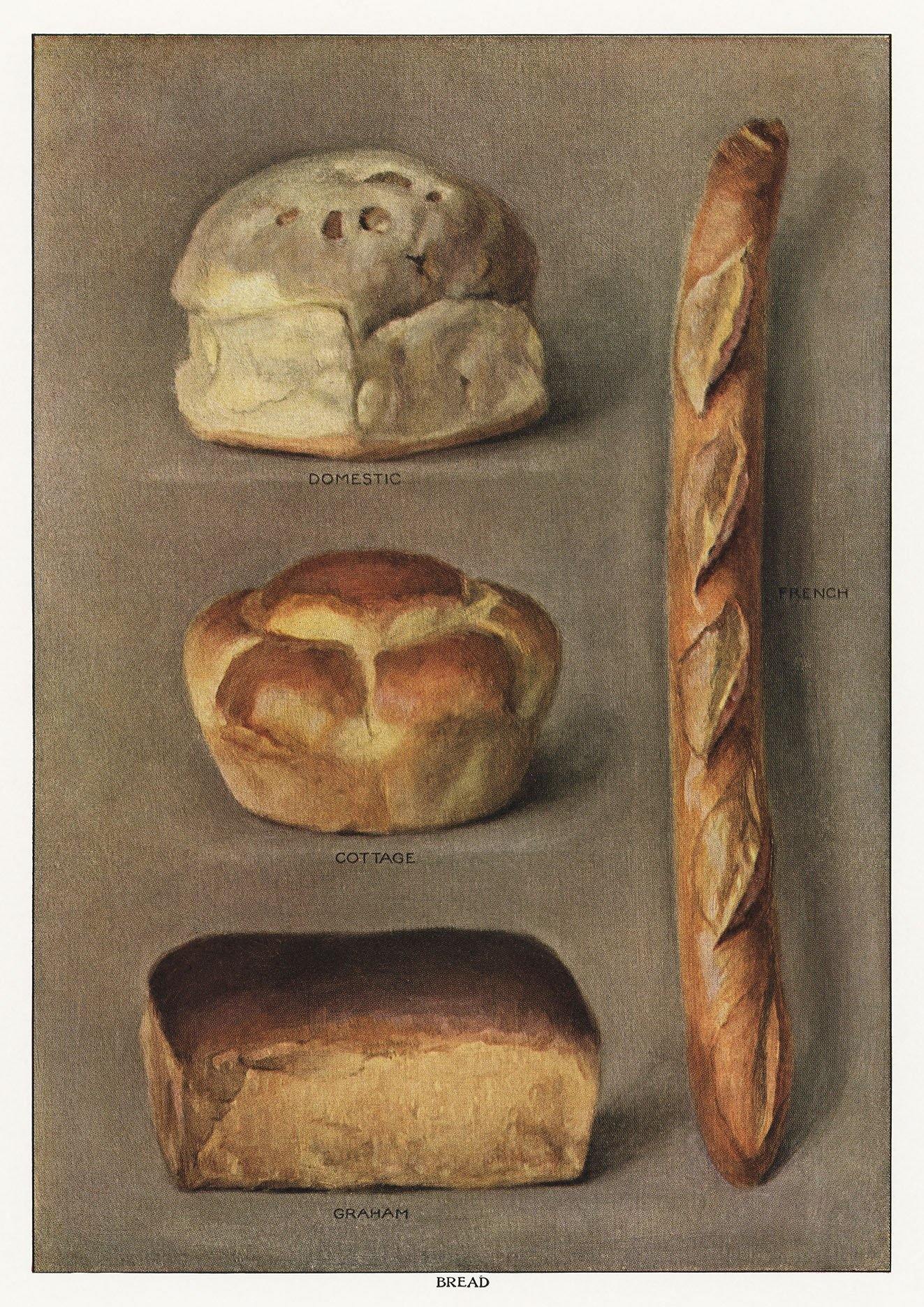 BREAD POSTER: Grocer's Encylopedia Baking Art Print - Pimlico Prints