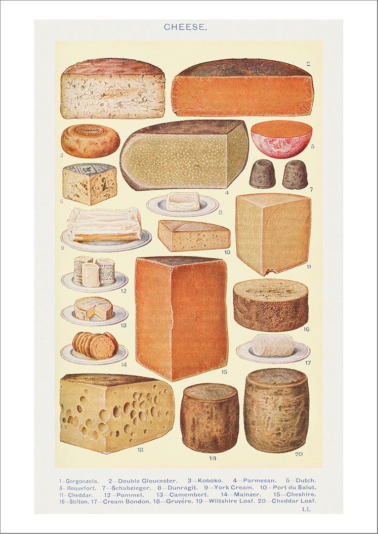 CHEESE ART PRINT: Mrs Beeton Vintage Cheeses Illustration Poster - Pimlico Prints