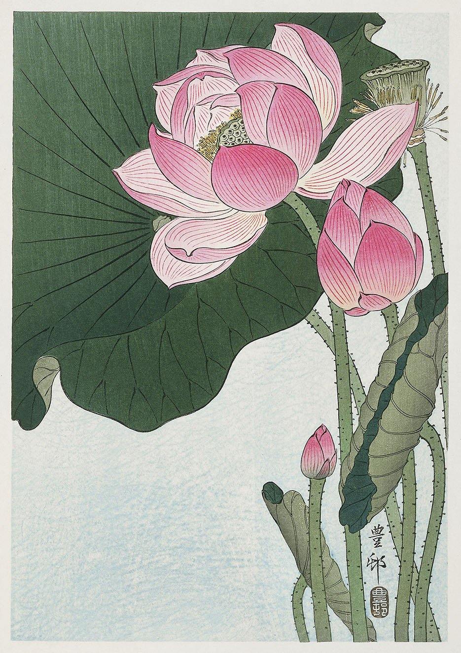 LILY AND LOTUS PRINTS: Japanese Artworks by Ohara Koson - Pimlico Prints