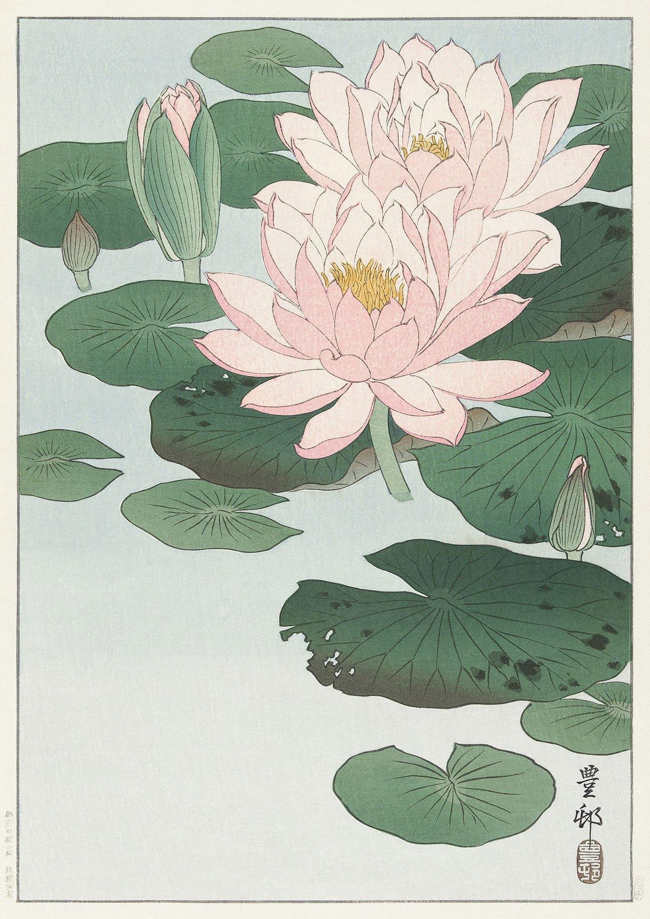 LILY AND LOTUS PRINTS: Japanese Artworks by Ohara Koson - Pimlico Prints