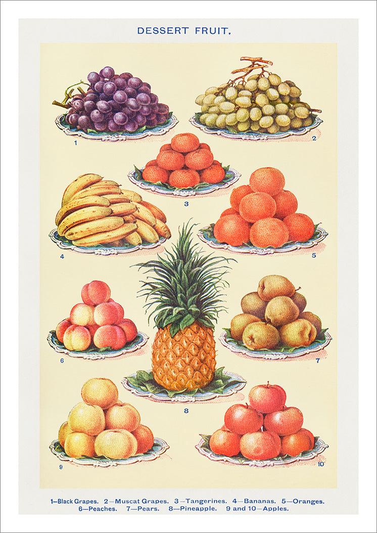 DESSERT FRUITS PRINT: Vintage Mrs Beeton Fruit Illustration Poster - Pimlico Prints