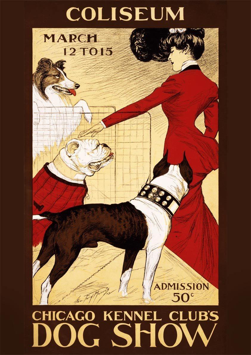 DOG SHOW POSTER: Vintage Kennel Club Art Print - Pimlico Prints